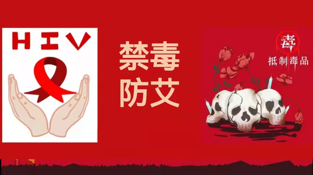 图片4.png 图片4.png