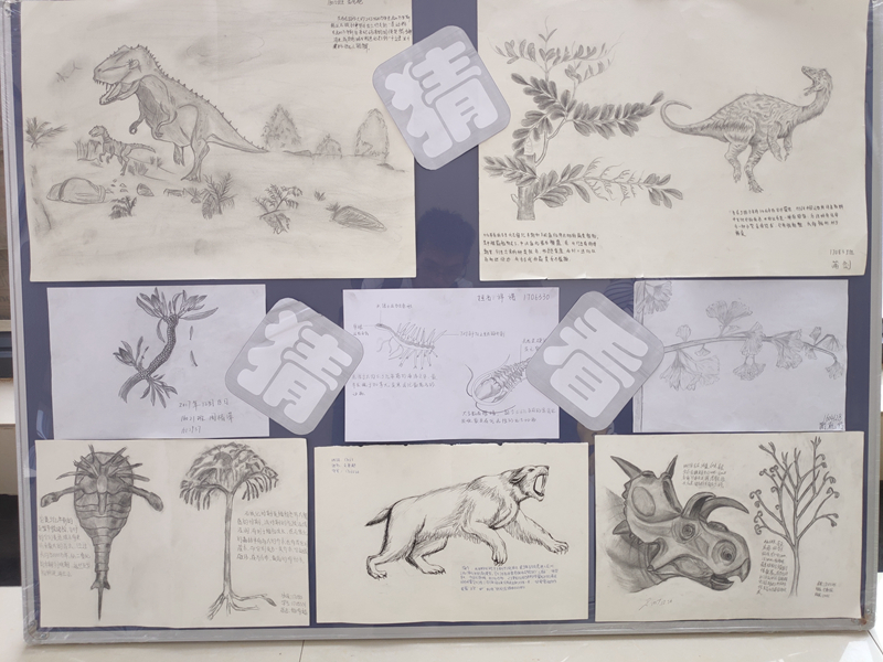 作 品展览.jpg 作 品展览.jpg