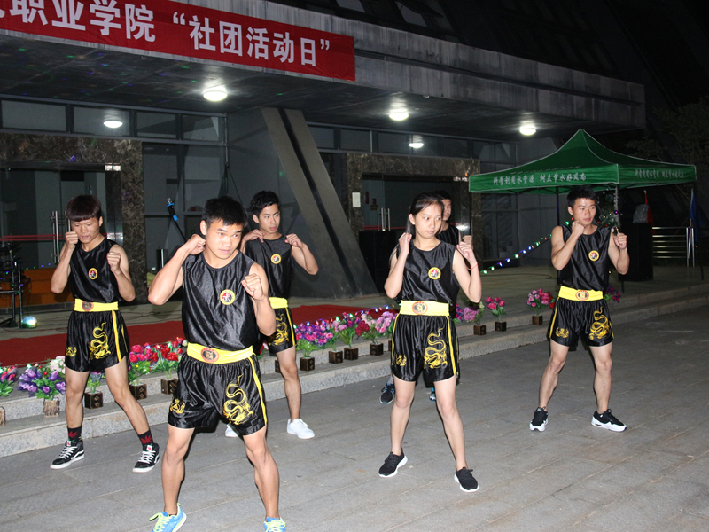 搏击社拳术表演.png 搏击社拳术表演.png