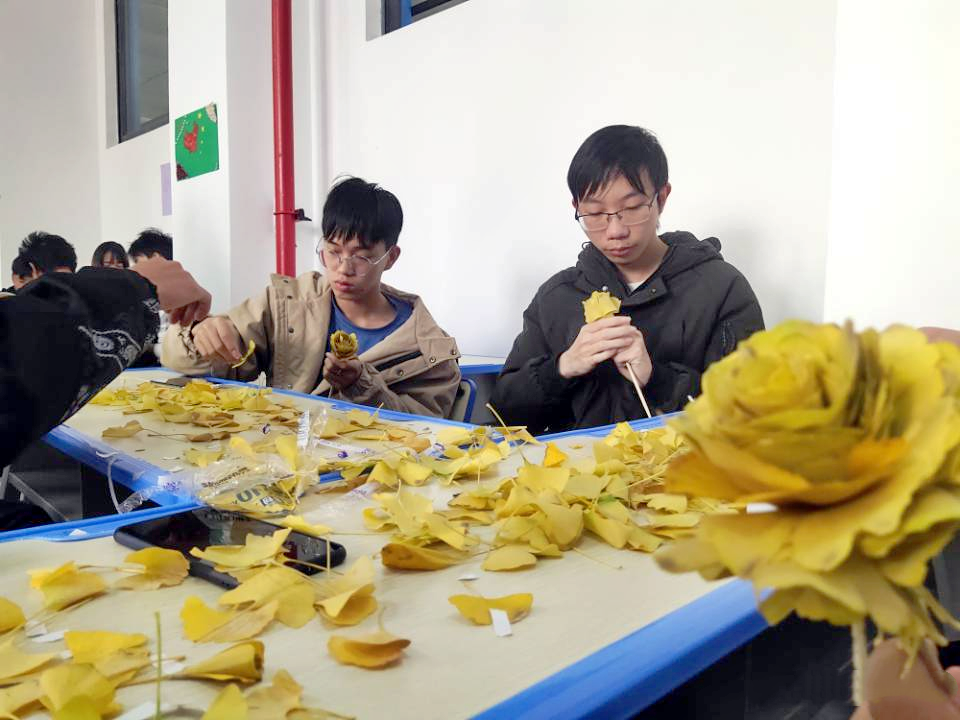 图片8.png 图片8.png